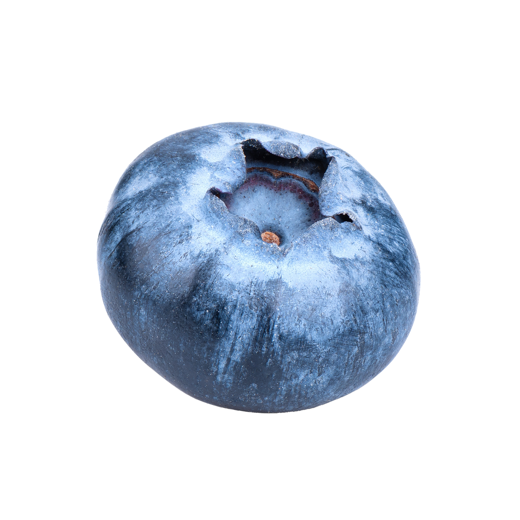 Blueberry Seed Oil