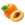 Apricot Seed Oil