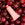 Joonbyrd Kaleidoscope Mini on Cherry Image