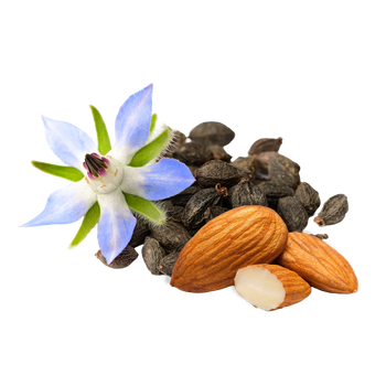 Almond Borage Image
