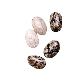 Chia Oil Image