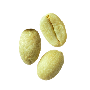 Green Coffee Oil Image