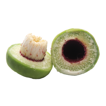 Kakadu Plum Image