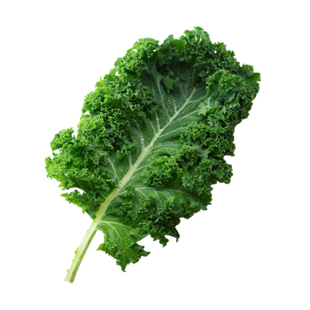 Kale Leaf Image