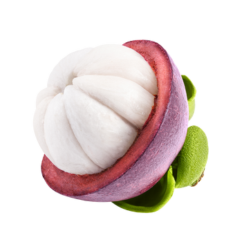Mangosteen Image