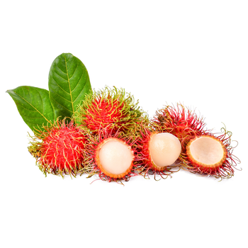 Rambutan Leaf Image