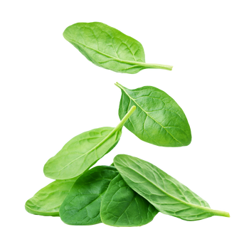 Spinach