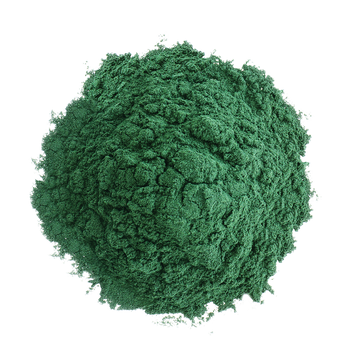 Spirulina Image