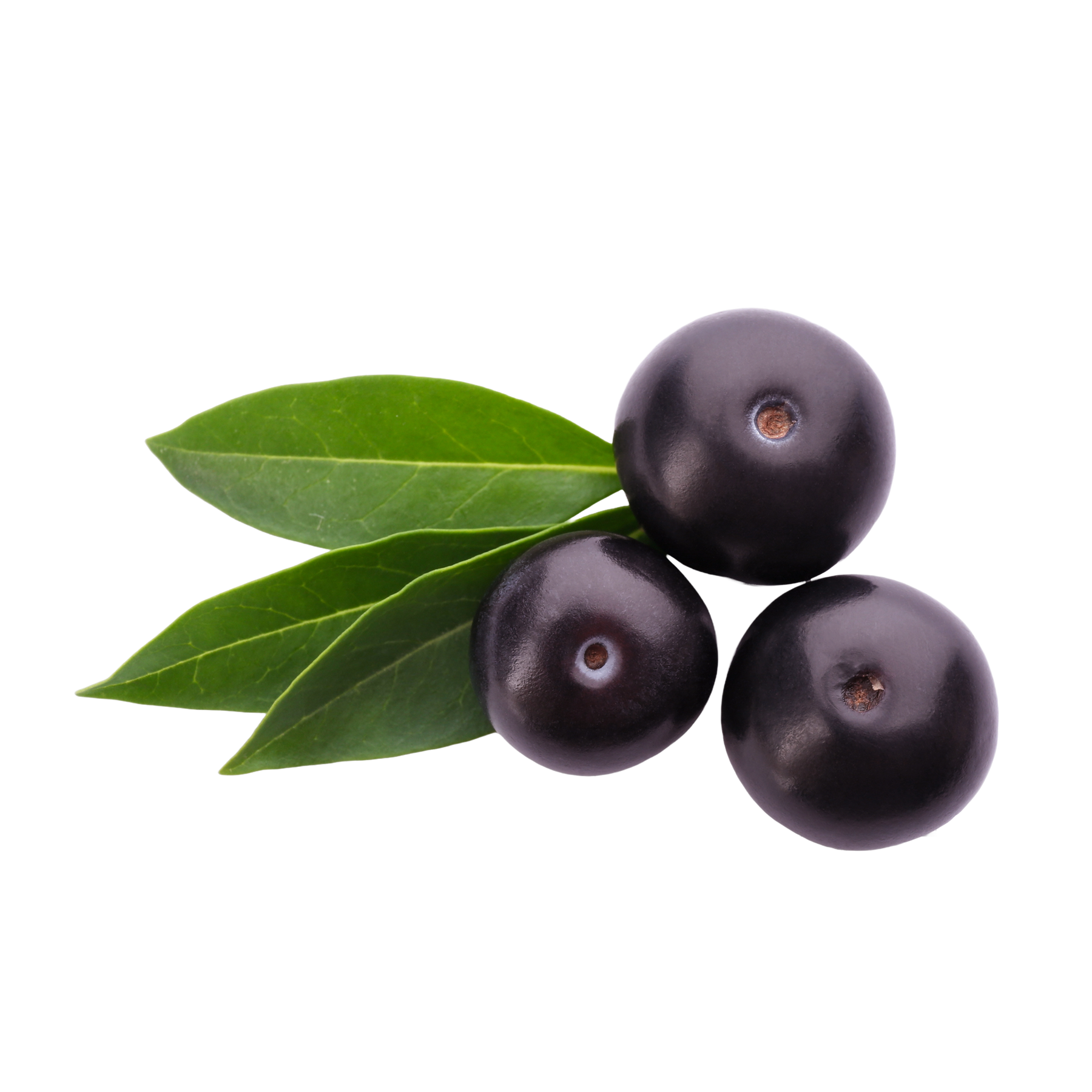 Acai