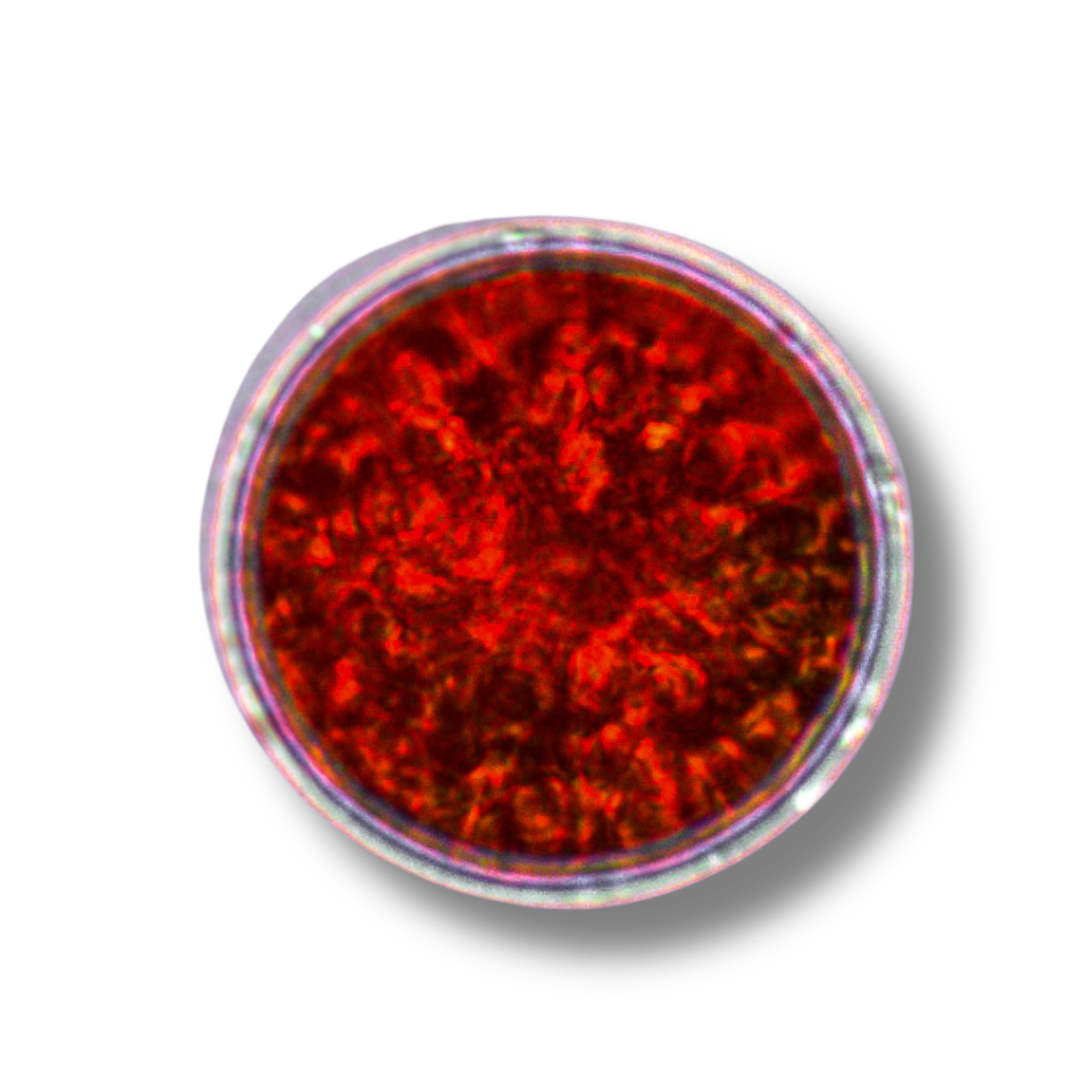 Astaxanthin