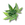 Cannabis Sativa Oil