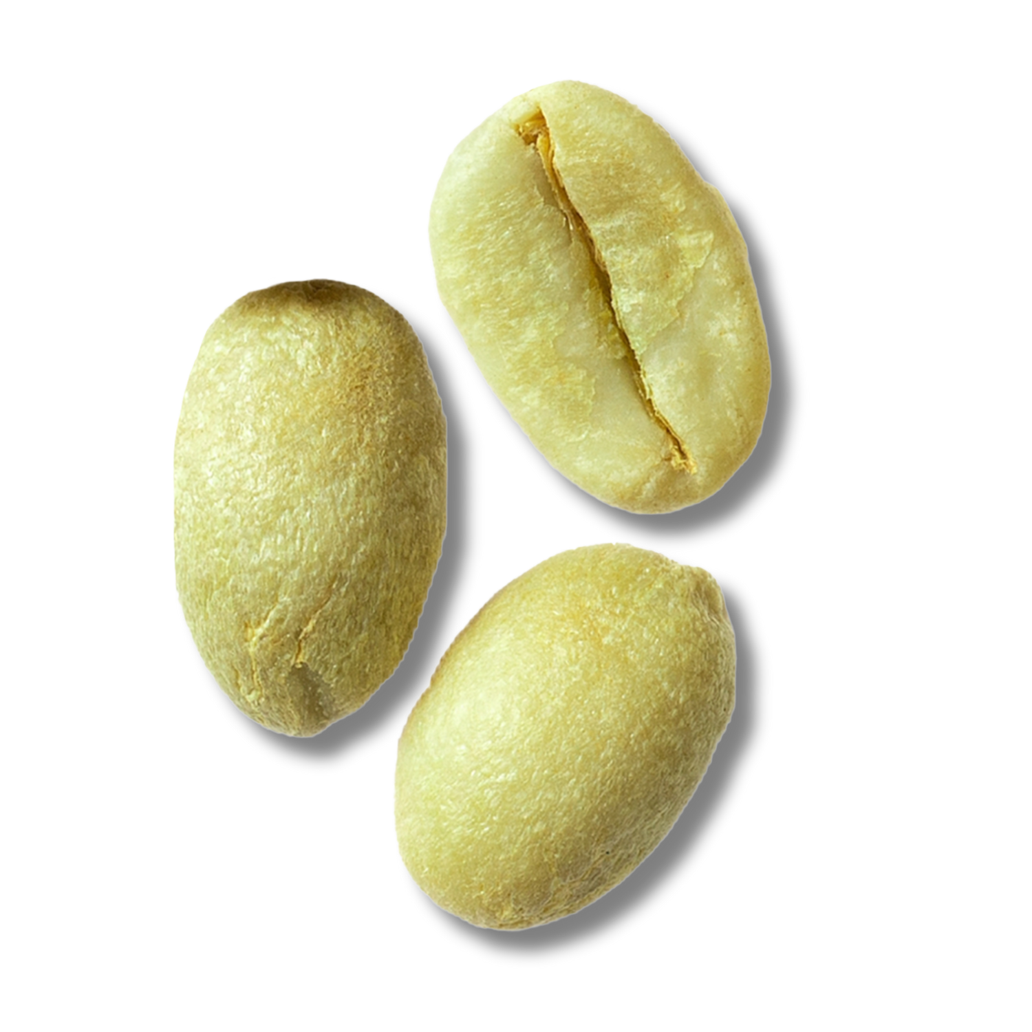 Green Coffee Seed Oil