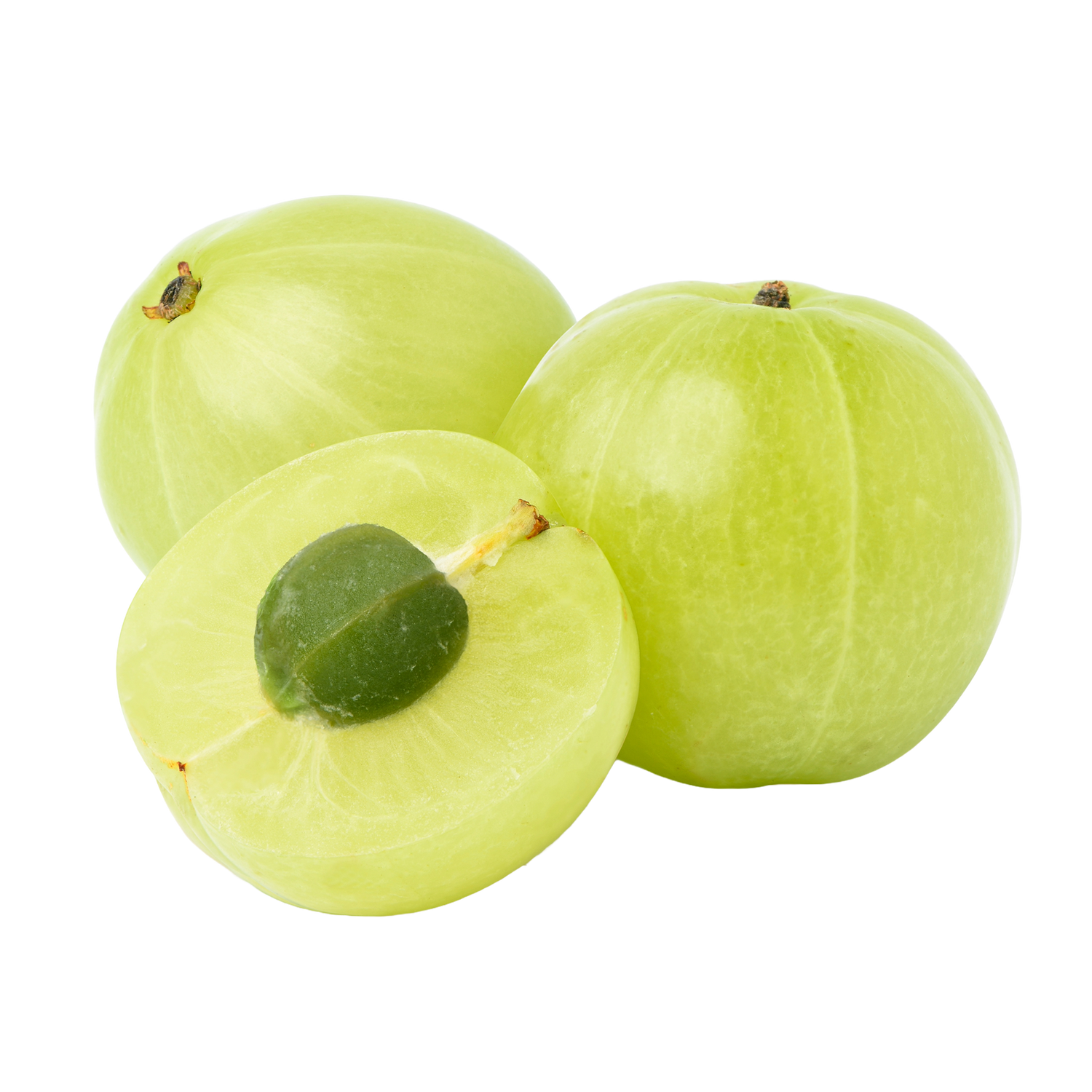 Indian Gooseberry Seed