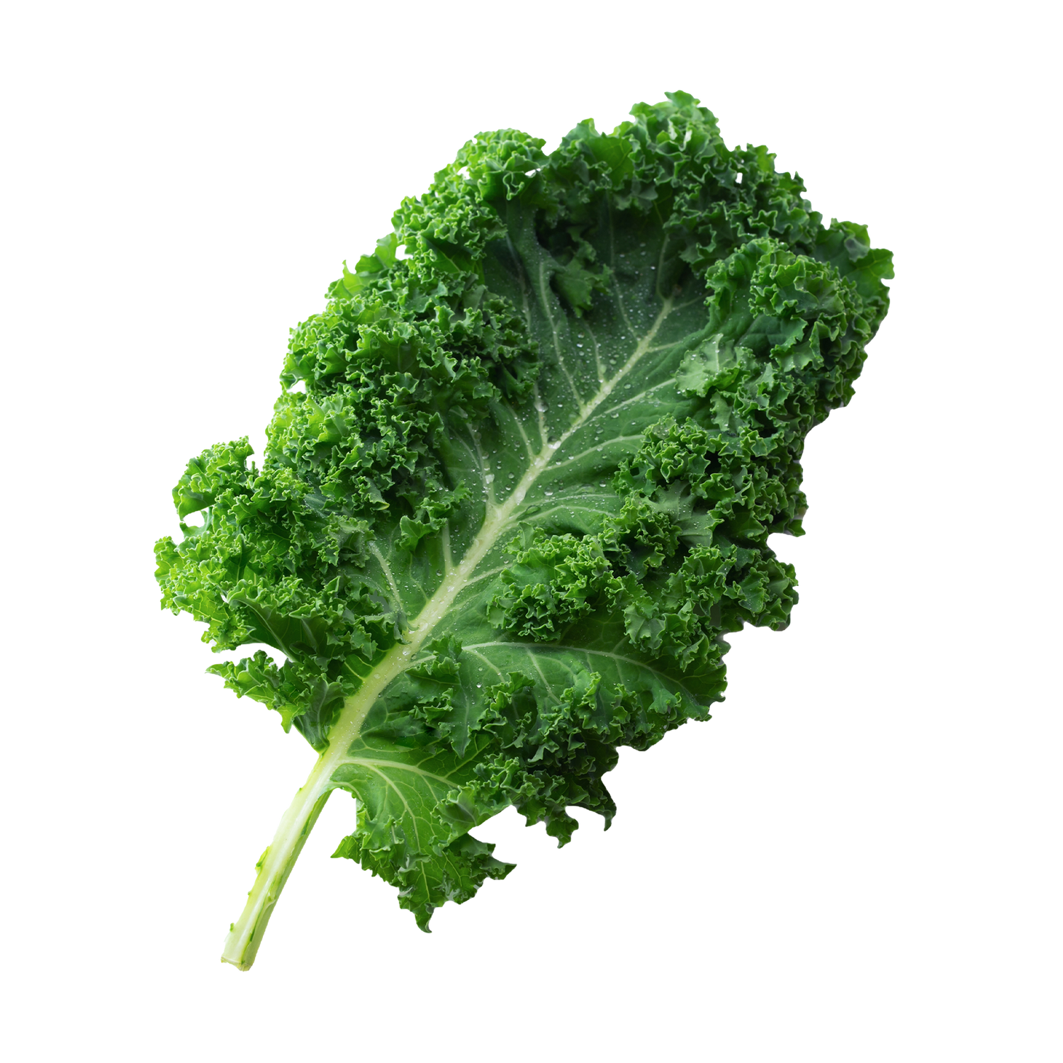 Kale