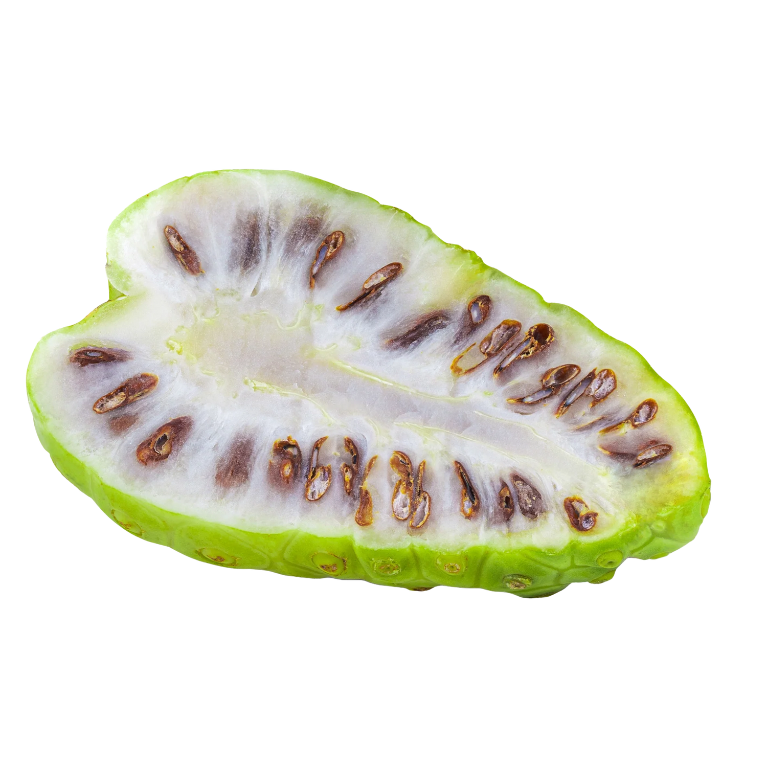 Noni Fruit