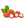 Rambutan Leaf