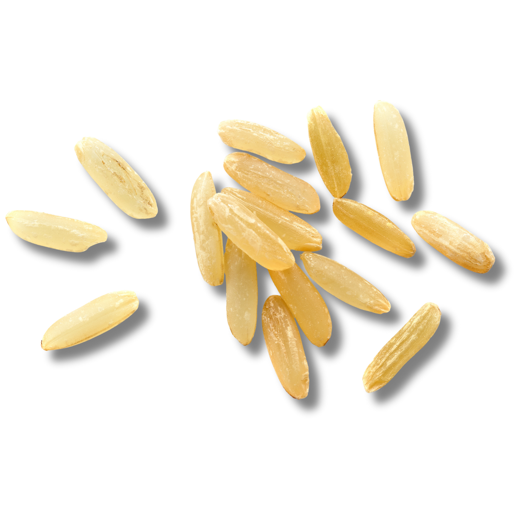 Rice Bran