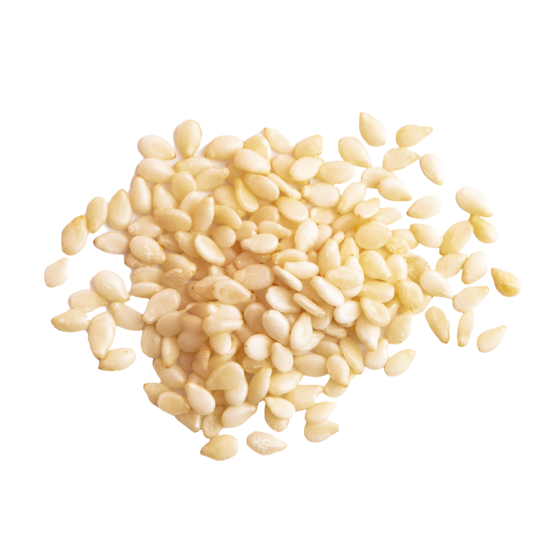 Sesame Seed