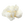 Butyrospermum Parkii (Shea) Extract