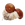 Songyi Mushroom