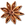 Shikimic Acid