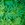 Cannabis Sativa Oil