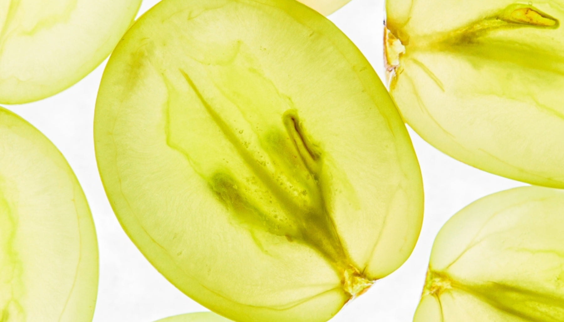 What Are Exosomes and How Do They Work In Longevity Skin Care?