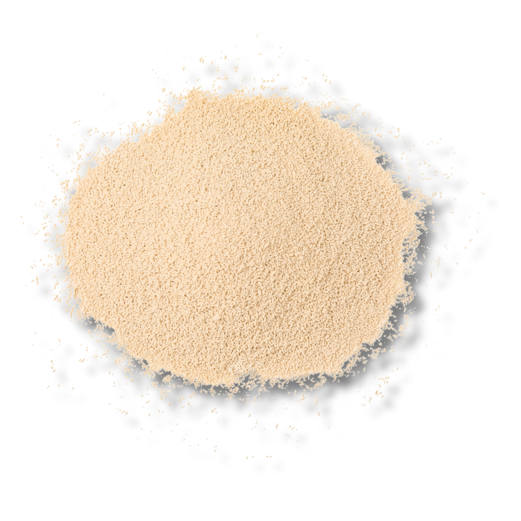 Xanthan Gum