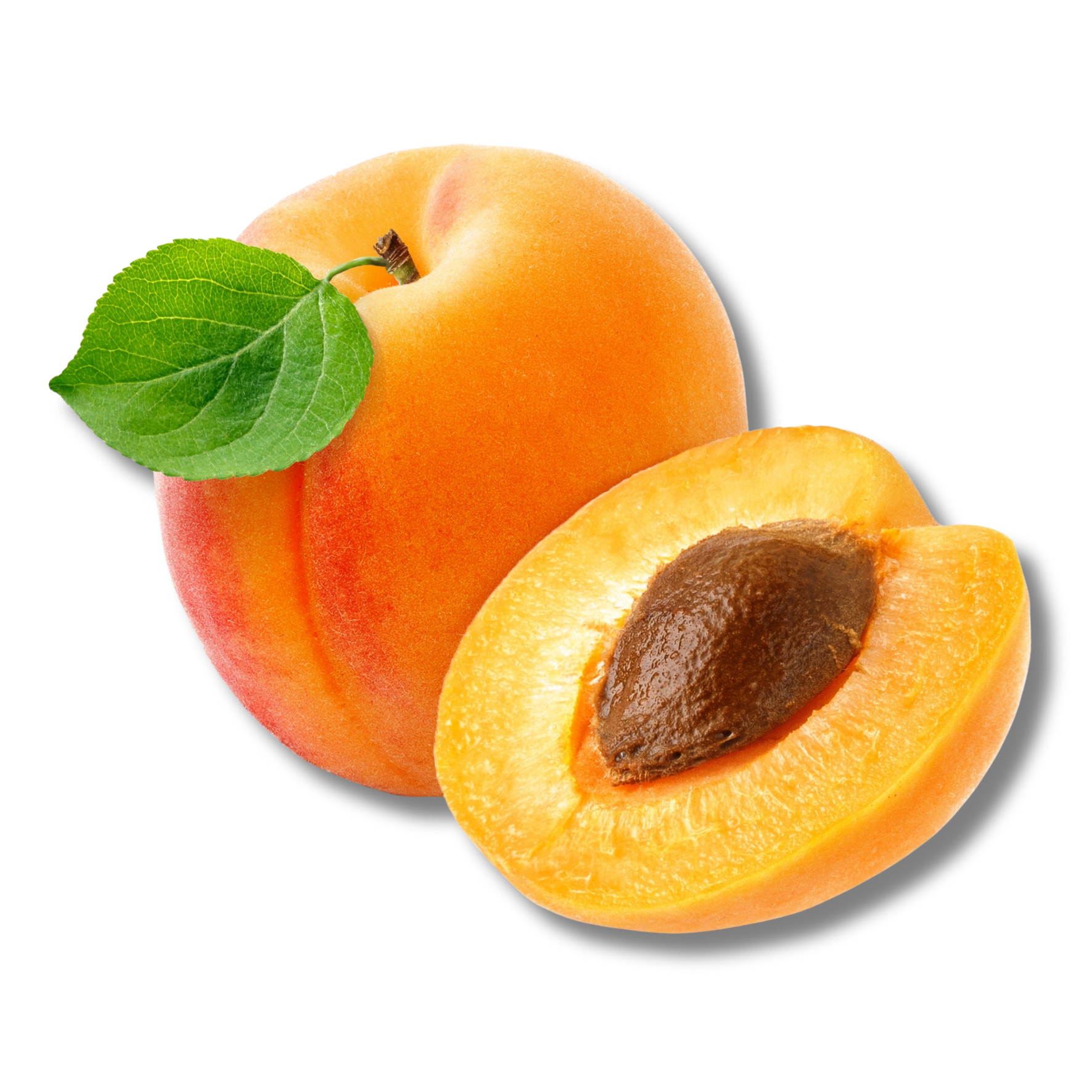 Apricot Seed Oil