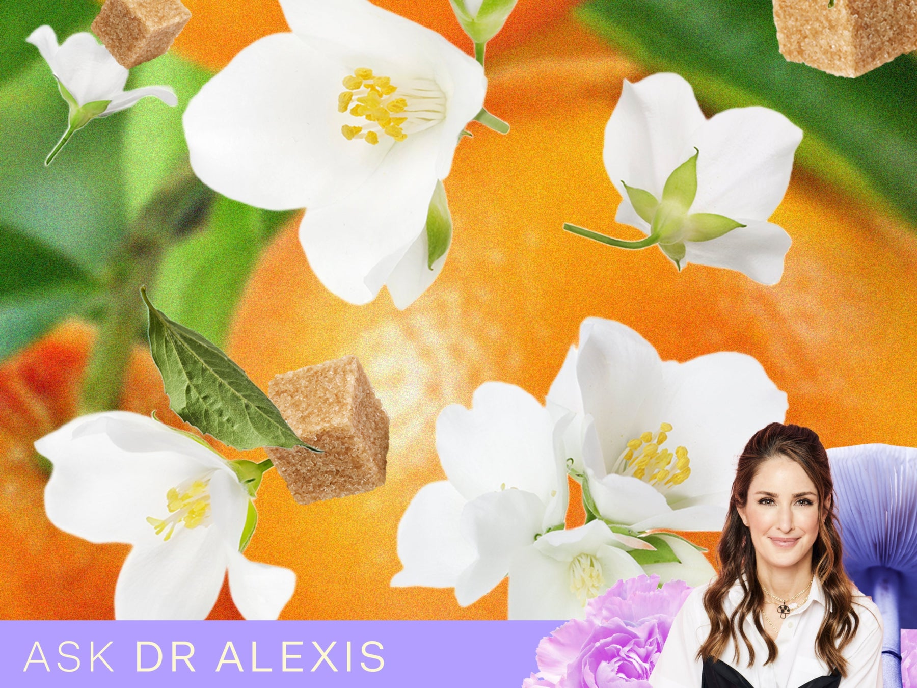Why Do Scents Trigger Memories?