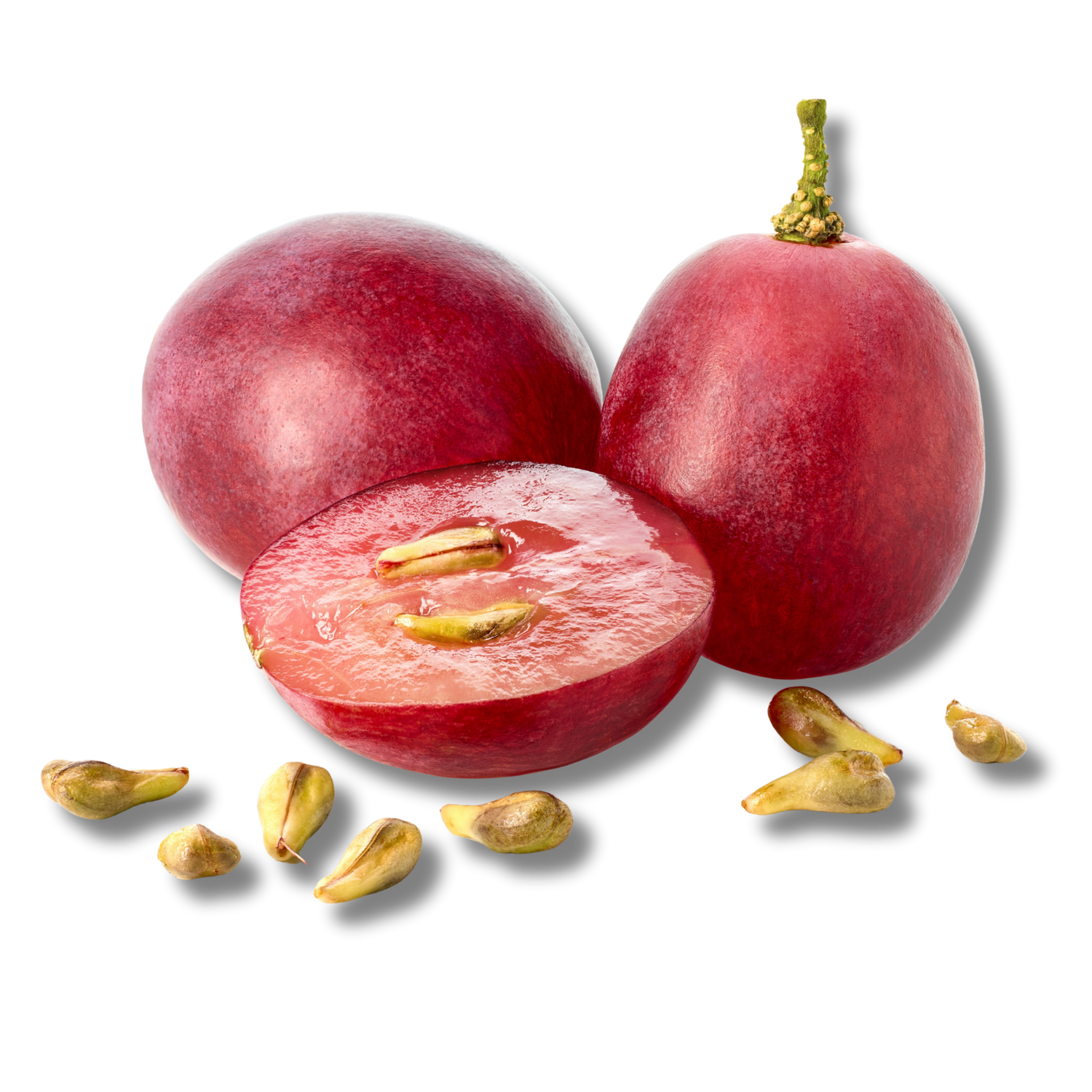 Grape Seed Extract/Oil