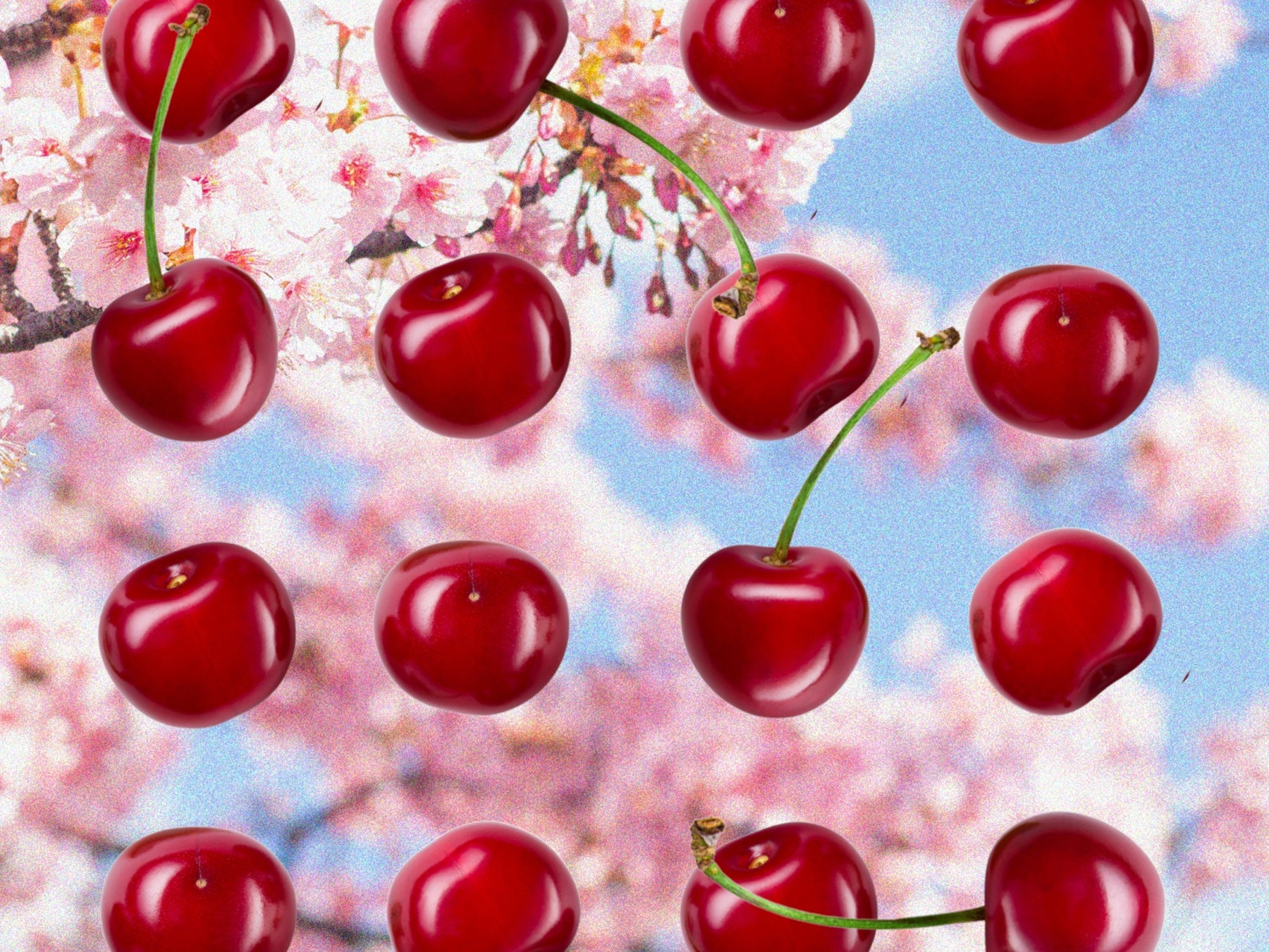 Redefining Scents: How Different Scents Can Change Your Mood