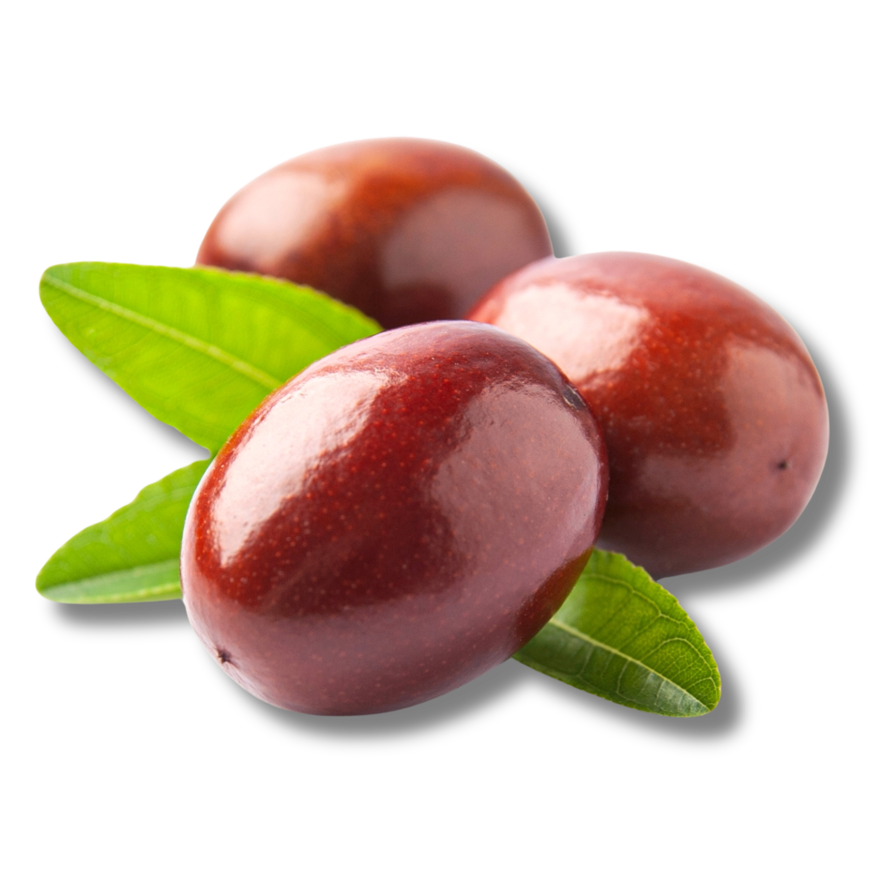 Jojoba Oil
