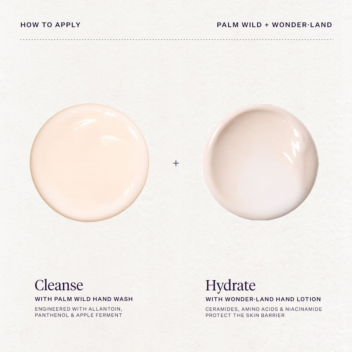 Palm Wild + Wonder·Land Duo