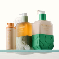 Palm Wild + Wonder·Land Duo