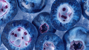 Blueberry Seed Oil
