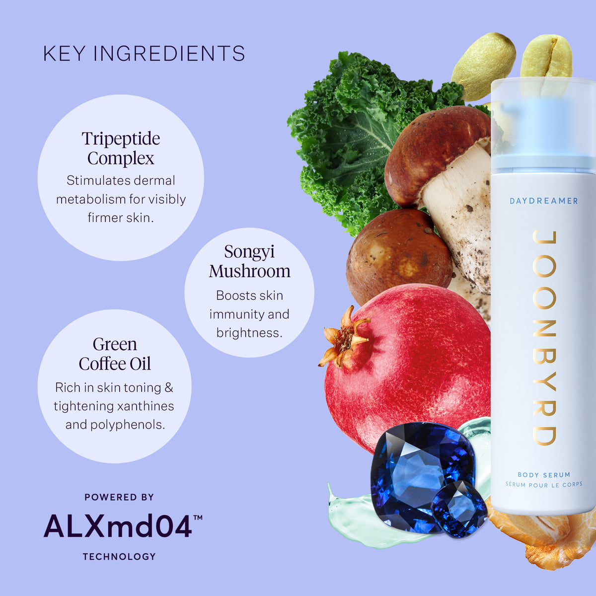 Daydreamer Body Serum Key Ingredients: Tripeptide Complex, stimulates dermal metabolism for visibly firmer skin. Songyi Mushroom, boosts skin immunity and brightness. Green coffee oil, rich in skin toning and tightening xanthines and polyphenols.
