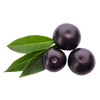 Acai