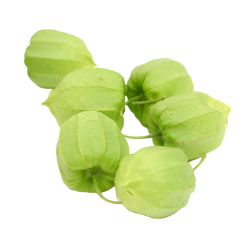 Ashwaganda Image