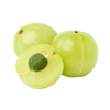 Indian Gooseberry Seed