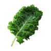 Kale