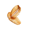 Oat Kernel