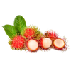 Rambutan Leaf