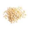 Sesame Seed
