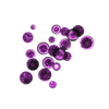 Lactobacillus