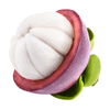 Mangosteen