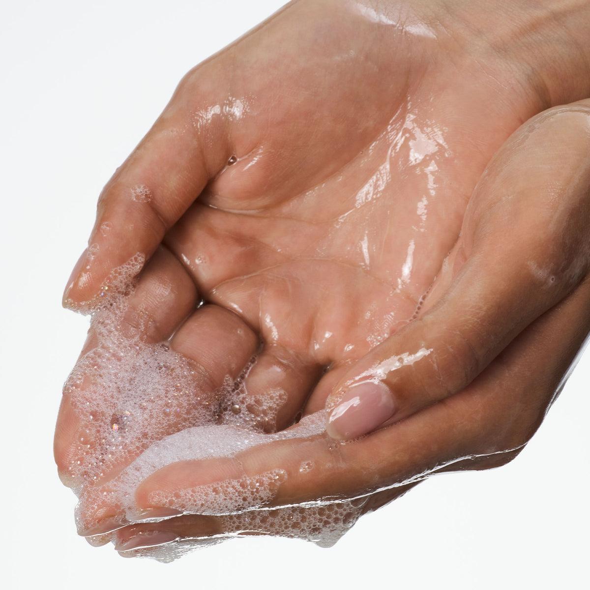 Palm Wild Hand Wash Model 