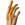 Palm Wild Refill Pouch