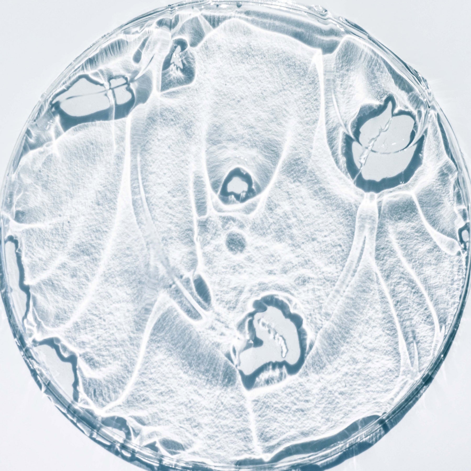 Salicylic Acid Ingredient Image