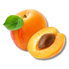 Apricot Seed Oil